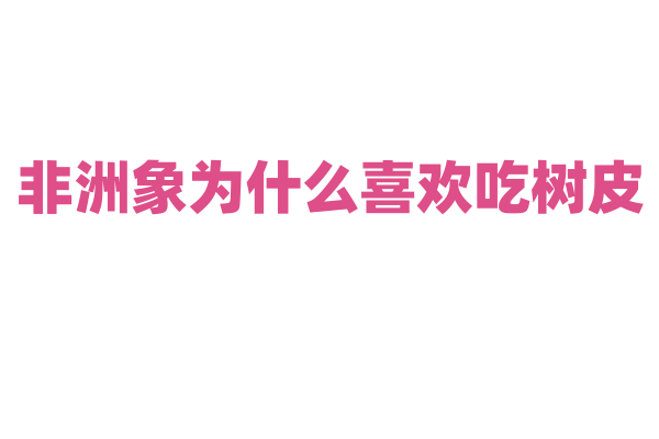 非洲象为什么喜欢吃树皮？