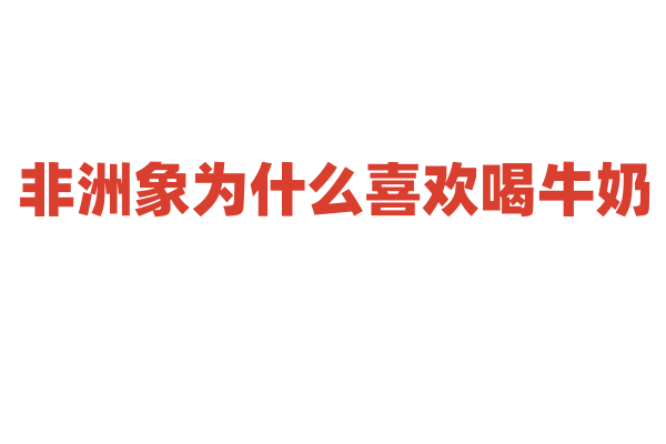 非洲象为什么喜欢喝牛奶？