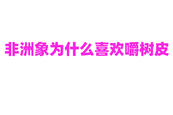 非洲象为什么喜欢嚼树皮？