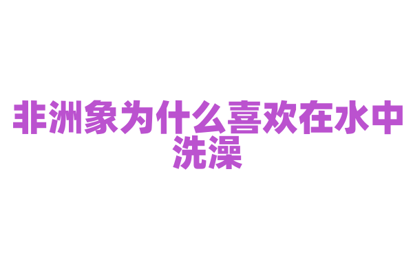 非洲象为什么喜欢在水中洗澡