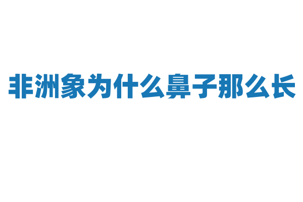 非洲象为什么鼻子那么长？
