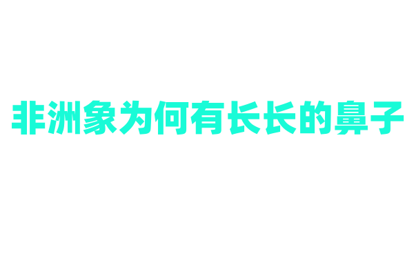 非洲象为何有长长的鼻子？