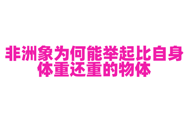 非洲象为何能举起比自身体重还重的物体？