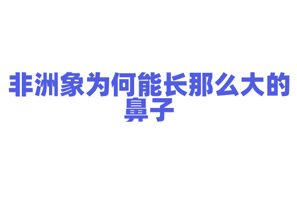 非洲象为何能长那么大的鼻子？