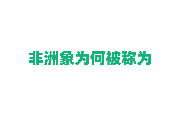 非洲象为何被称为“象王”？