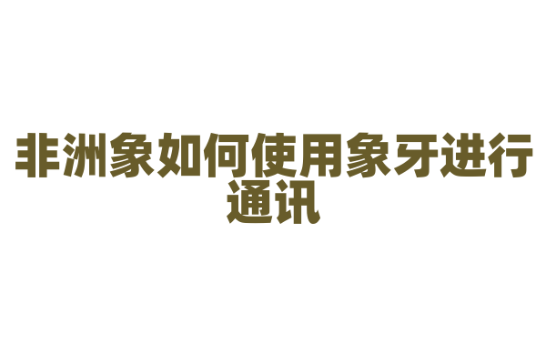 非洲象如何使用象牙进行通讯？