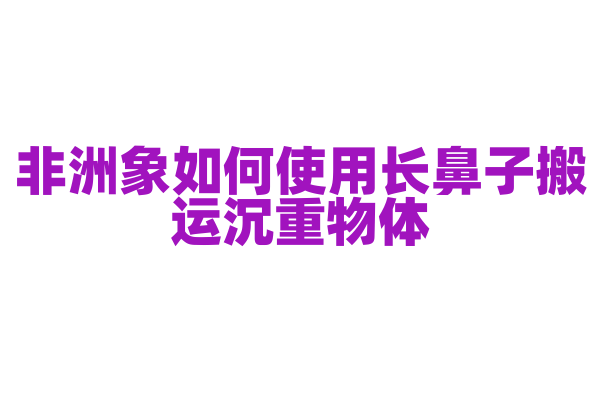 非洲象如何使用长鼻子搬运沉重物体？