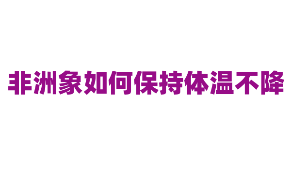 非洲象如何保持体温不降？