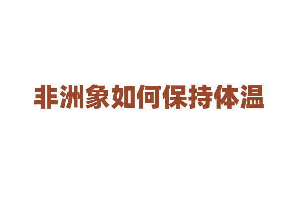 非洲象如何保持体温？