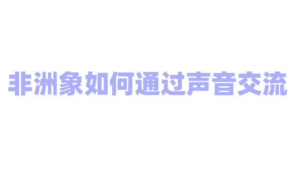 非洲象如何通过声音交流？