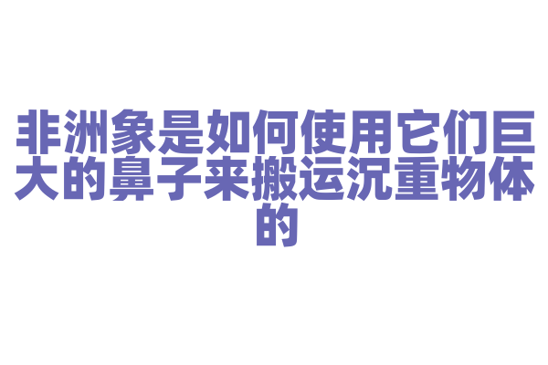 非洲象是如何使用它们巨大的鼻子来搬运沉重物体的？
