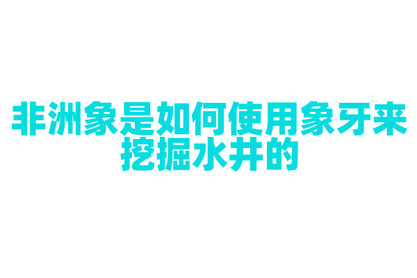 非洲象是如何使用象牙来挖掘水井的？