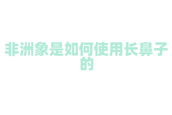 非洲象是如何使用长鼻子的？
