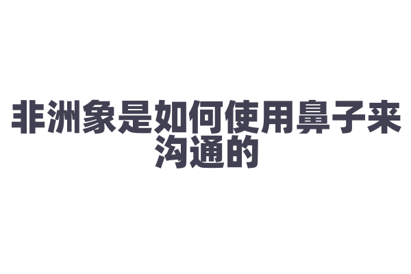 非洲象是如何使用鼻子来沟通的？