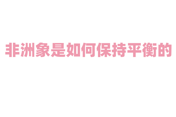 非洲象是如何保持平衡的？