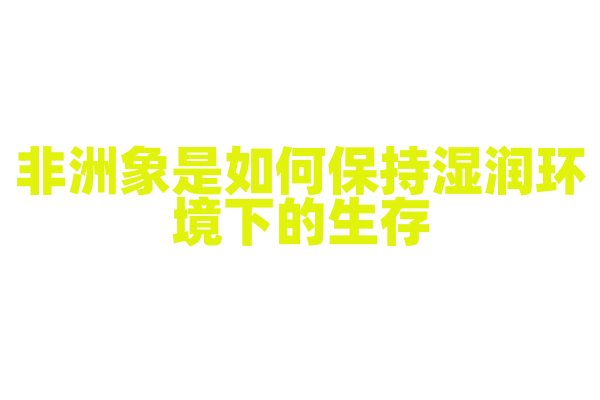 非洲象是如何保持湿润环境下的生存？