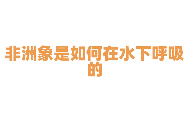 非洲象是如何在水下呼吸的？