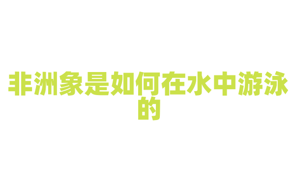 非洲象是如何在水中游泳的？