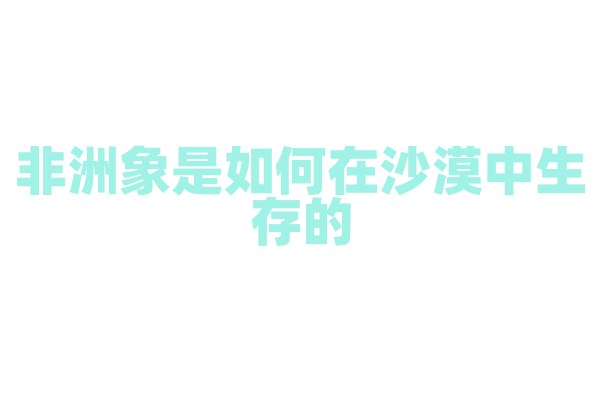 非洲象是如何在沙漠中生存的？