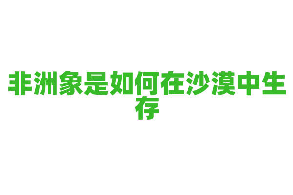 非洲象是如何在沙漠中生存？