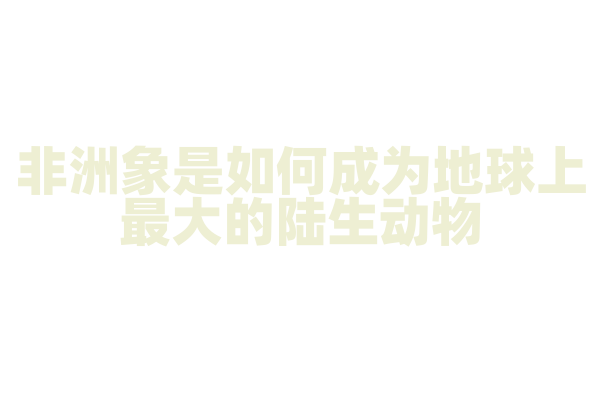 非洲象是如何成为地球上最大的陆生动物？