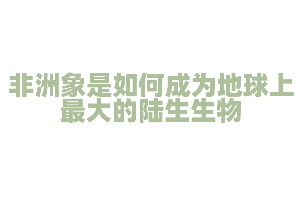非洲象是如何成为地球上最大的陆生生物？