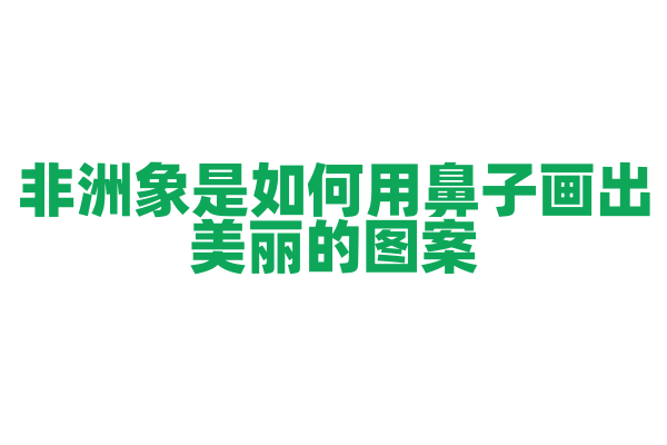 非洲象是如何用鼻子画出美丽的图案？