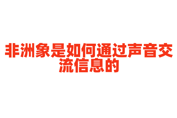 非洲象是如何通过声音交流信息的？