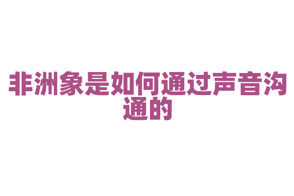 非洲象是如何通过声音沟通的？