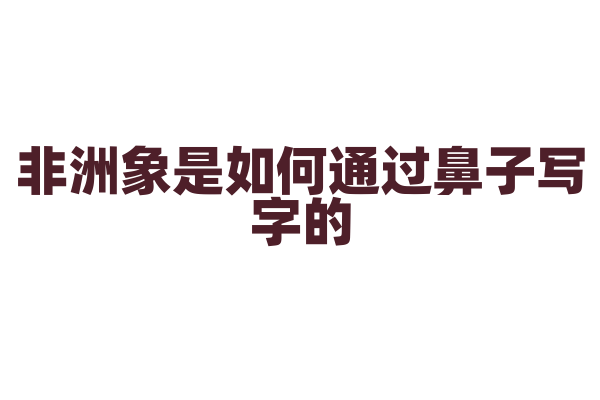 非洲象是如何通过鼻子写字的？