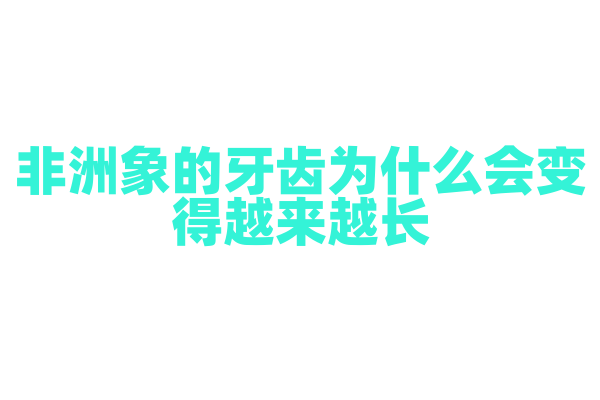 非洲象的牙齿为什么会变得越来越长？