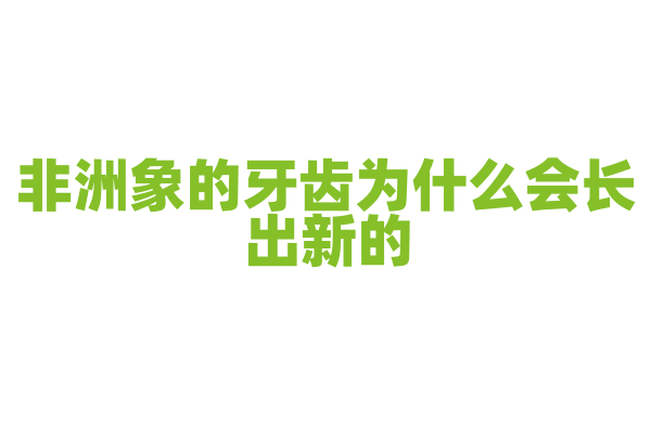非洲象的牙齿为什么会长出新的？