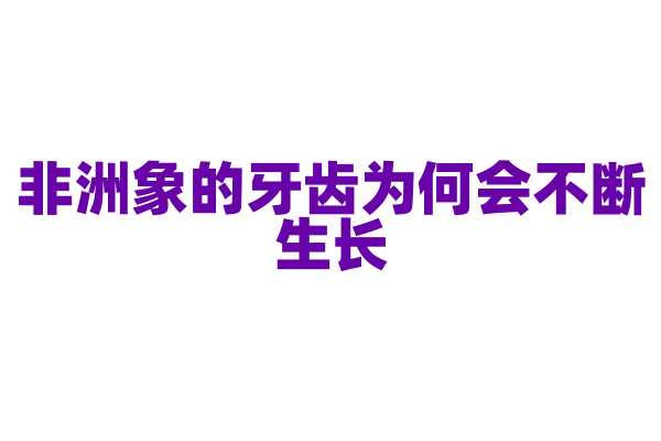 非洲象的牙齿为何会不断生长？