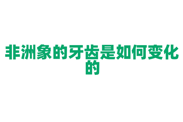 非洲象的牙齿是如何变化的？