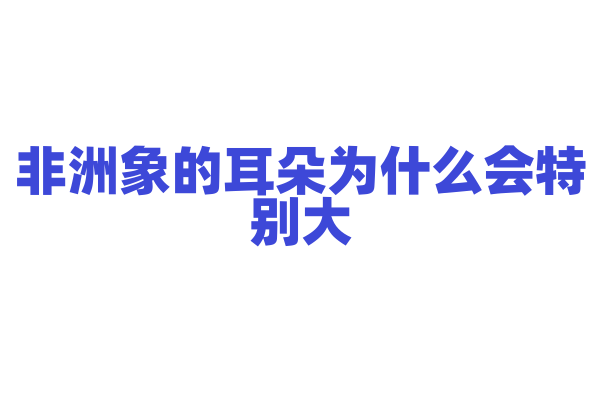 非洲象的耳朵为什么会特别大？