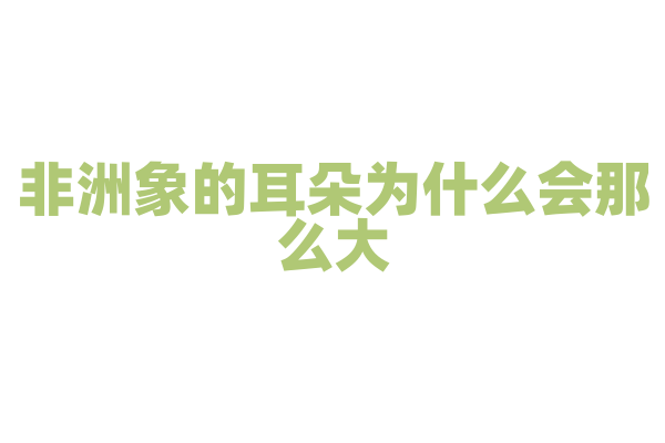 非洲象的耳朵为什么会那么大？