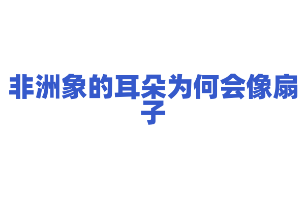 非洲象的耳朵为何会像扇子？