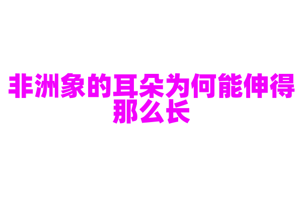 非洲象的耳朵为何能伸得那么长？