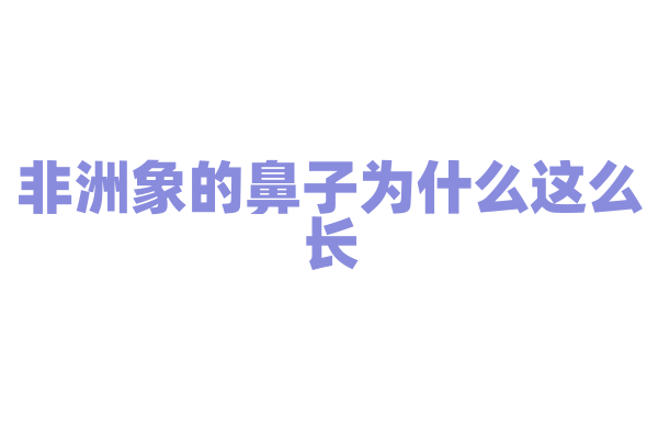 非洲象的鼻子为什么这么长？