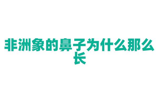 非洲象的鼻子为什么那么长？