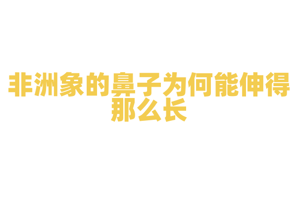 非洲象的鼻子为何能伸得那么长？