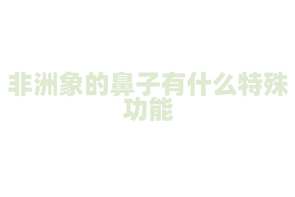非洲象的鼻子有什么特殊功能？
