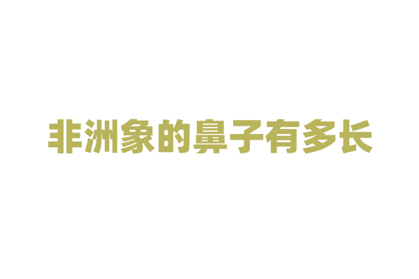 非洲象的鼻子有多长？