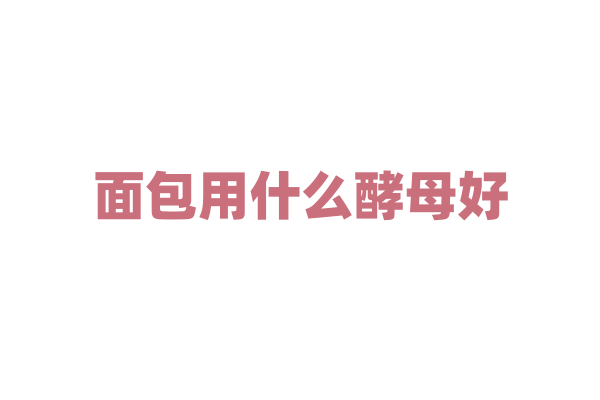 面包用什么酵母好？