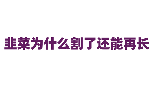 韭菜为什么割了还能再长，它的生长特性是什么？