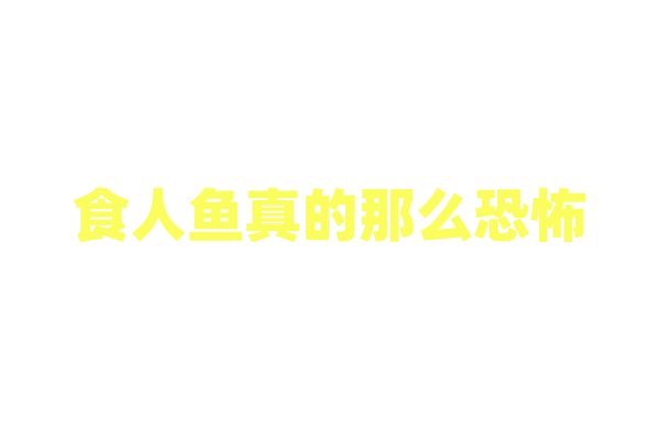 食人鱼真的那么恐怖，能瞬间啃食猎物？