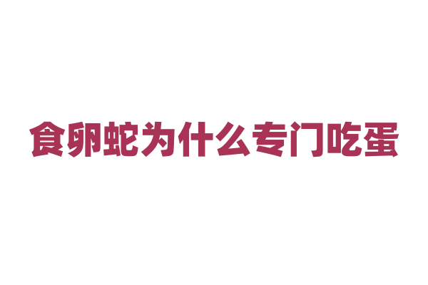 食卵蛇为什么专门吃蛋，它的嘴巴和消化系统有什么特殊之处？