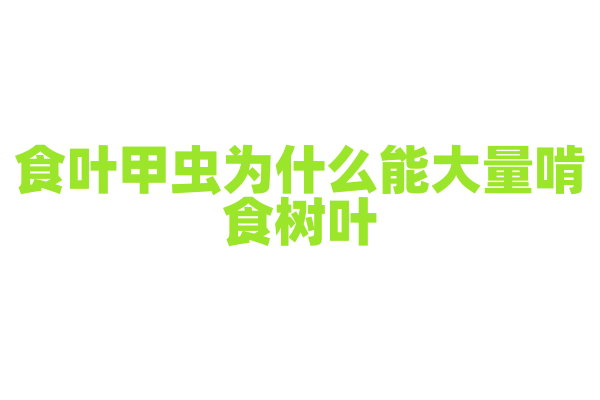 食叶甲虫为什么能大量啃食树叶，它的口器和消化系统有什么适应性？