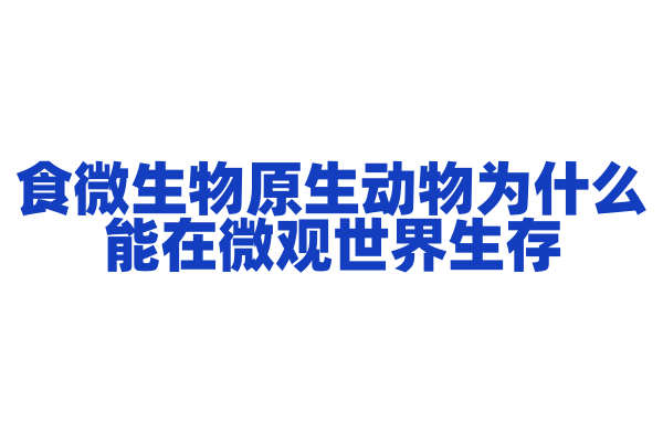 食微生物原生动物为什么能在微观世界生存，它的生存策略和生态功能是什么？