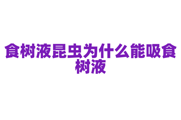 食树液昆虫为什么能吸食树液，它的口器和取食方式有什么特点？